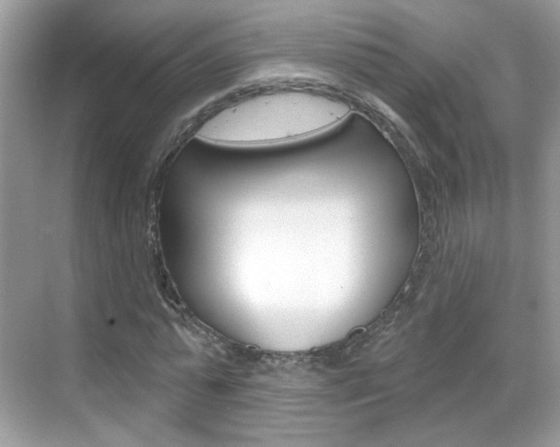 X0000069400775200605121022