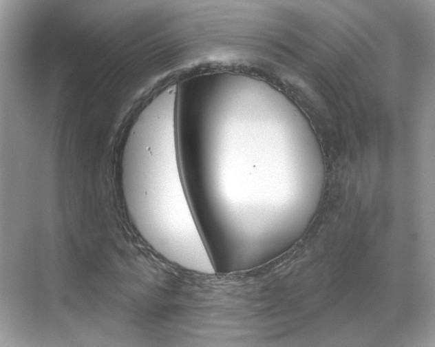 X0000069400776200605121022