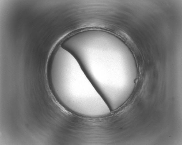 X0000069400780200605121022