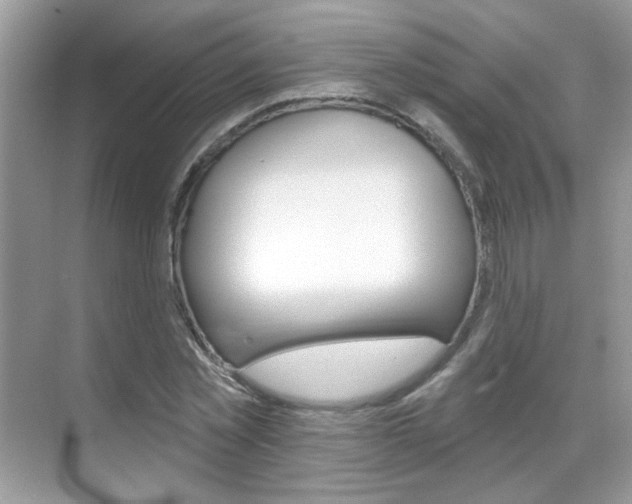 X0000069400781200605121022