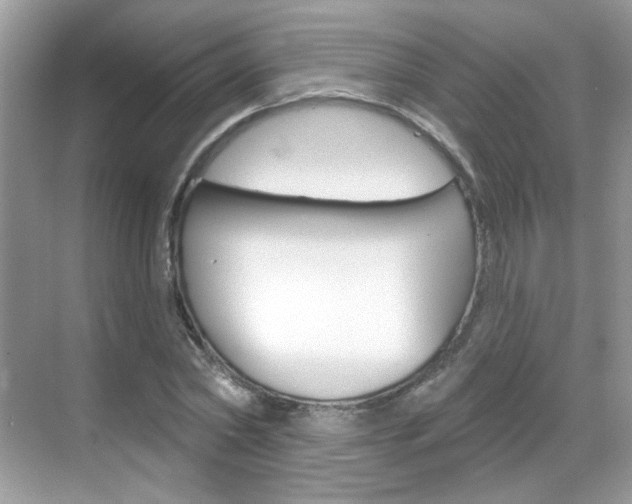 X0000069400782200605121022