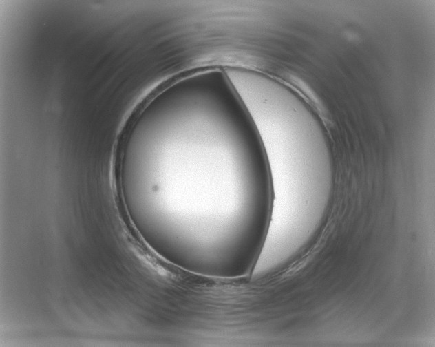 X0000069400788200605121022