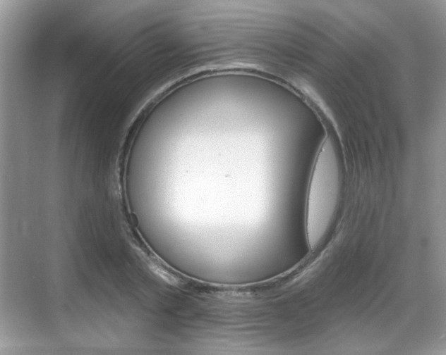 X0000069400789200605121022