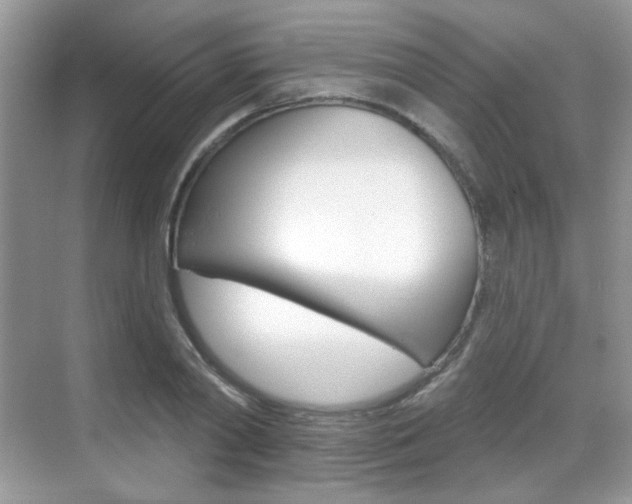 X0000069400790200605121022