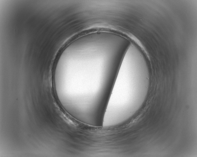 X0000069400791200605121022
