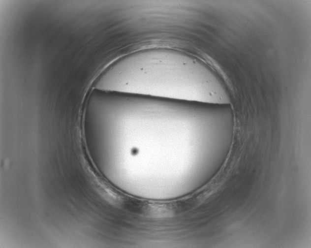 X0000069400794200605121022