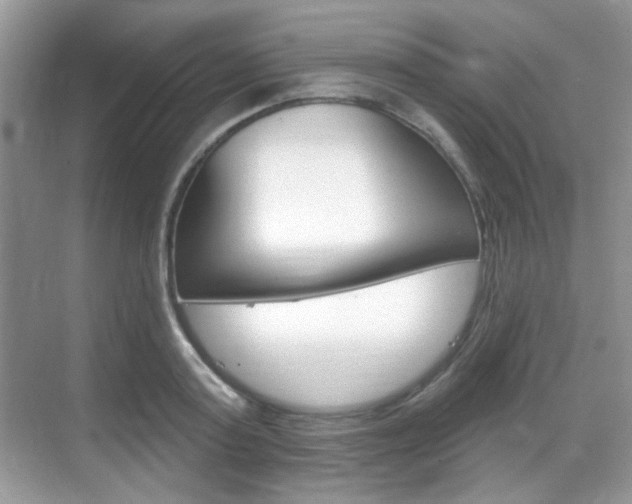 X0000069400795200605121022