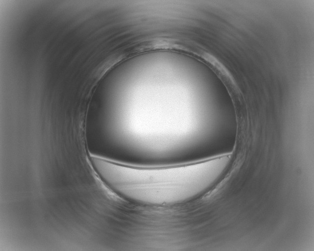 X0000069400801200605121022