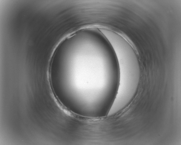X0000069400813200605121021