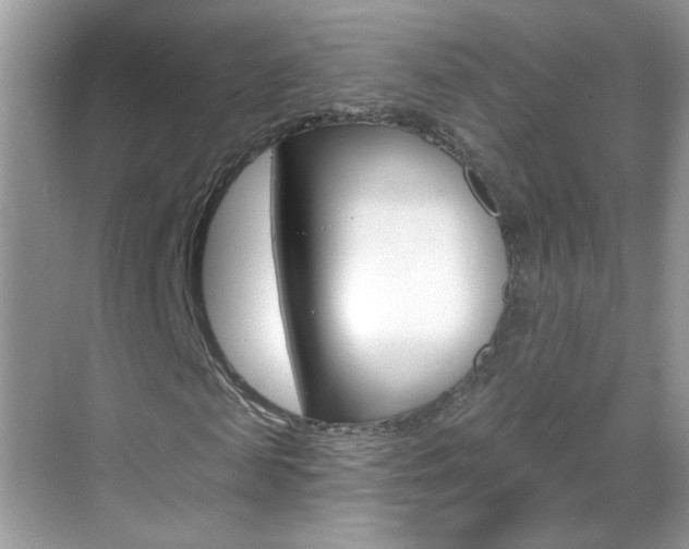 X0000069400817200605121021