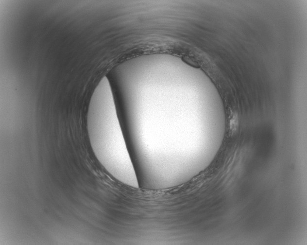 X0000069400819200605121021