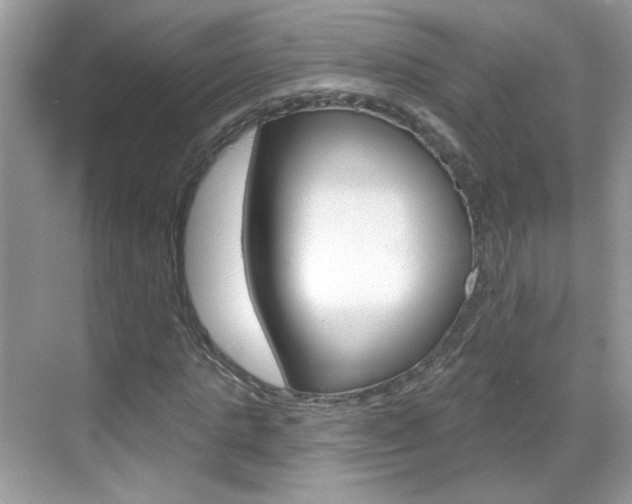 X0000069400821200605121021