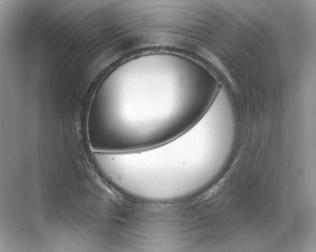 X0000069400826200605121021