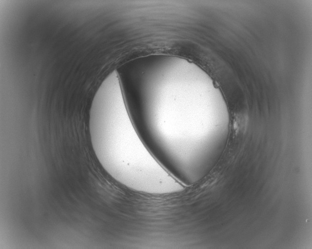 X0000069400867200605121020