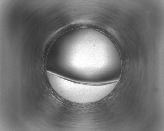 X0000069400872200605121020