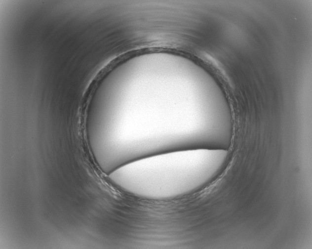 X0000069400875200605121020