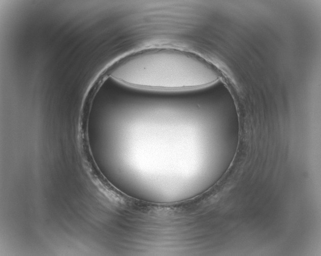 X0000069400880200605121020
