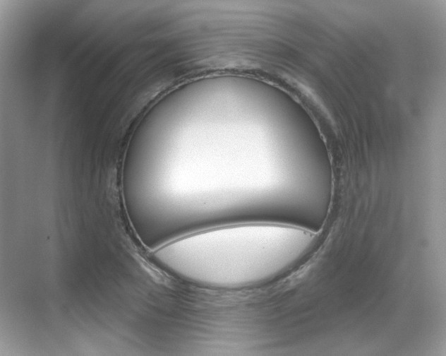 X0000069400881200605121020