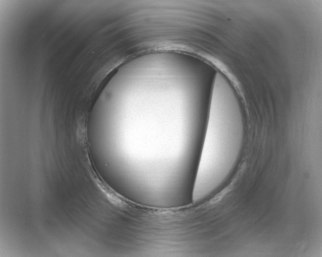 X0000069400897200605121020