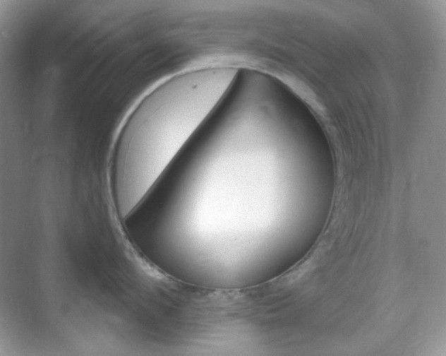 X0000069400912200605121020