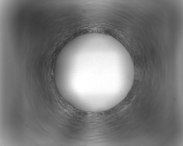 X0000069400913200605121019