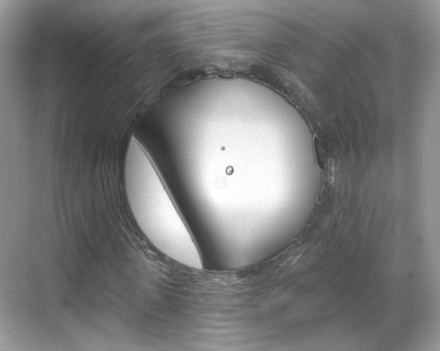 X0000069400915200605121019
