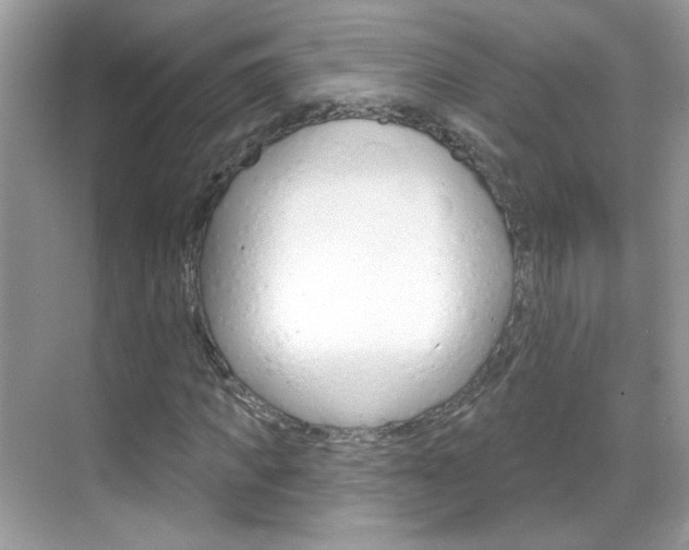 X0000069400917200605121019