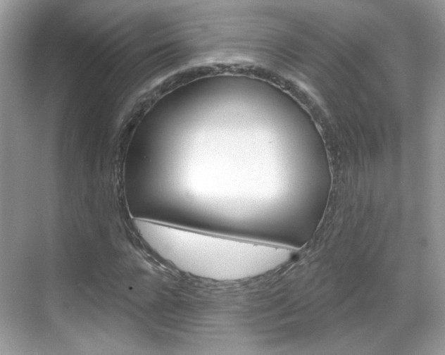 X0000069400920200605121019