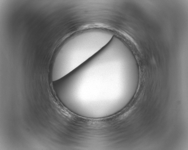 X0000069400921200605121019