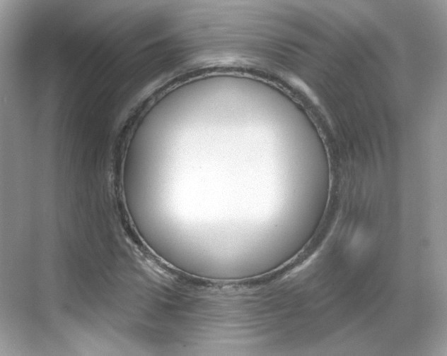 X0000069400922200605121019