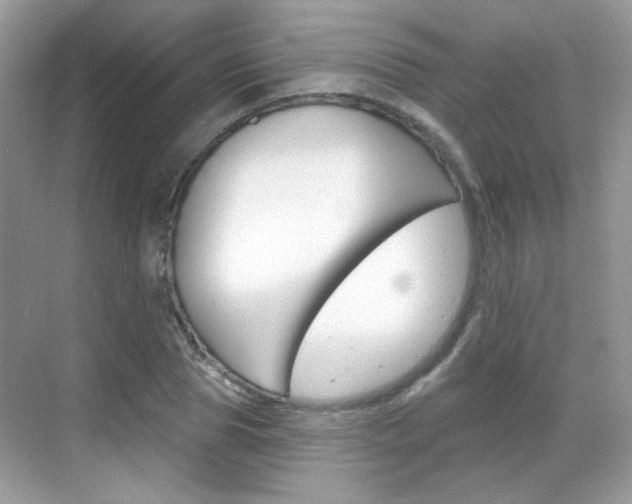 X0000069400929200605121019