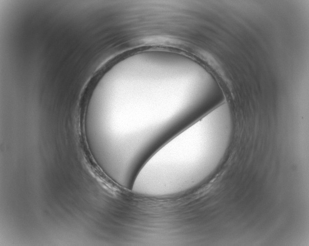 X0000069400931200605121019