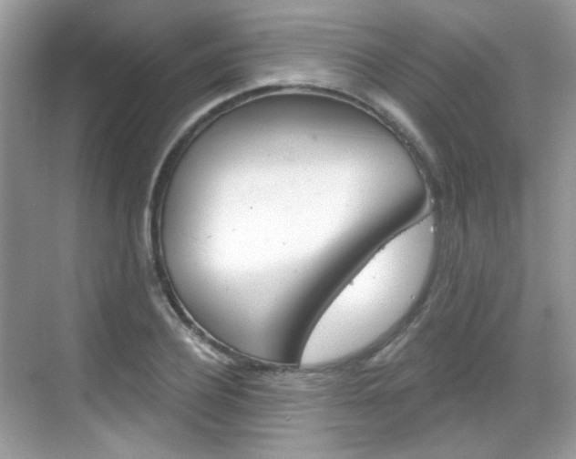 X0000069400932200605121019