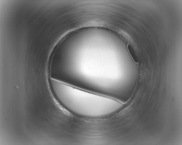 X0000069400942200605121019