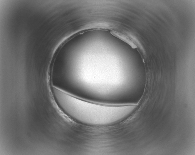 X0000069400944200605121019