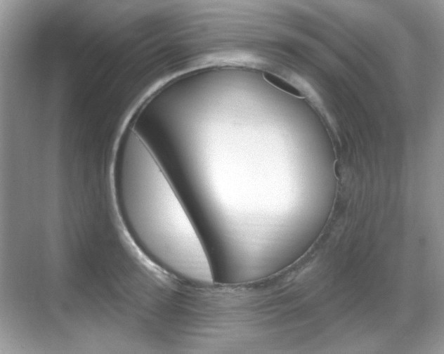 X0000069400947200605121019