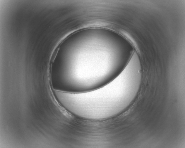 X0000069400948200605121020