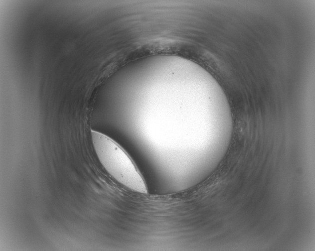 X0000069400964200605121019