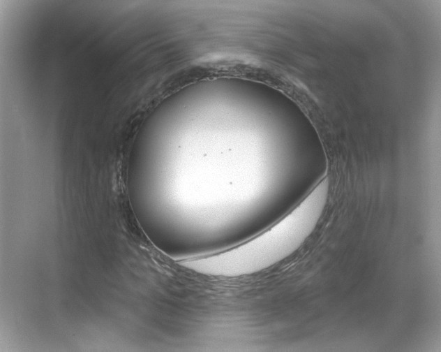X0000069400965200605121019