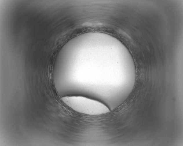 X0000069400966200605121019