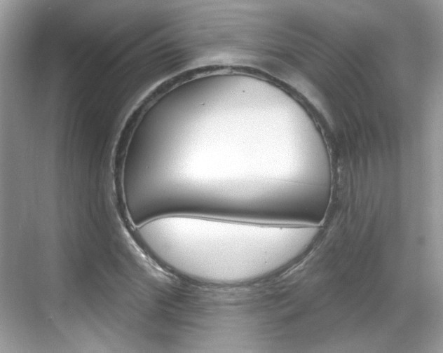 X0000069400972200605121019