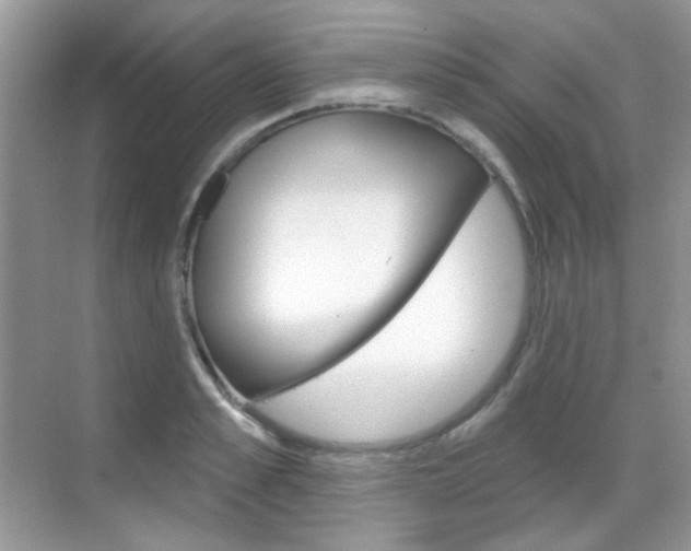 X0000069400989200605121018