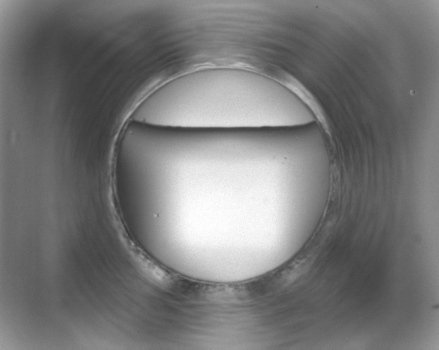 X0000069401002200605121018