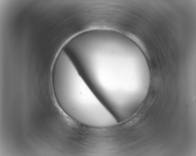 X0000069401004200605121018