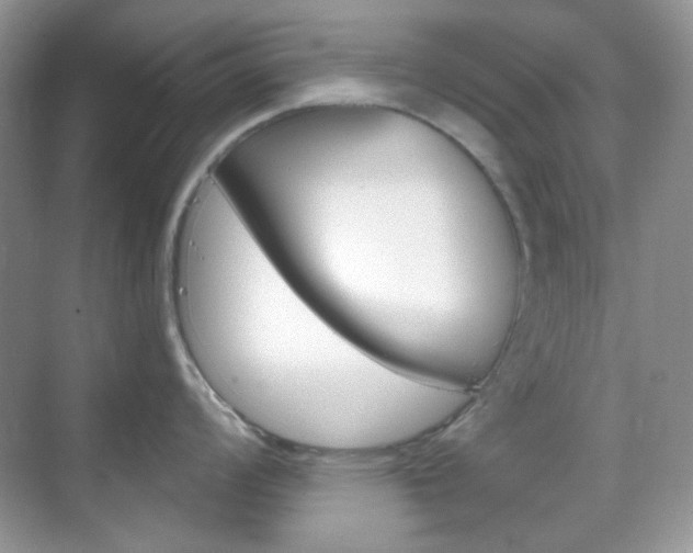 X0000069401008200605121018