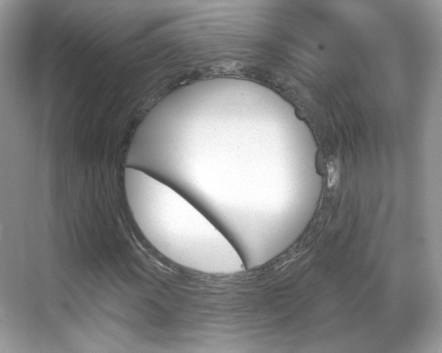 X0000069401011200605121017