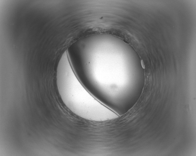 X0000069401012200605121017