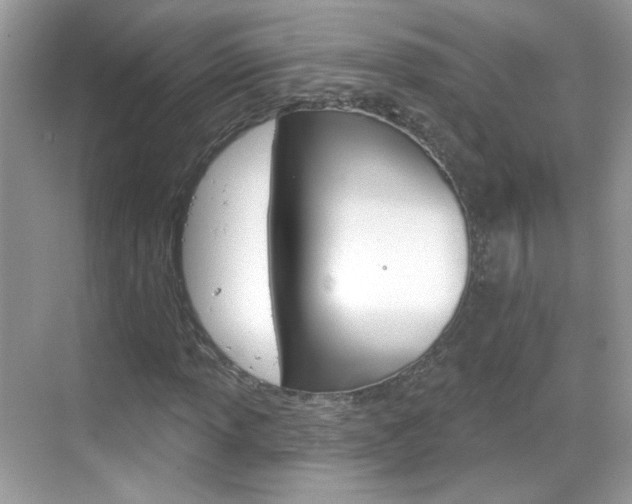X0000069401013200605121017
