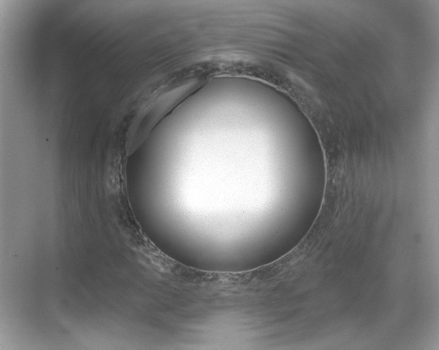 X0000069401014200605121017