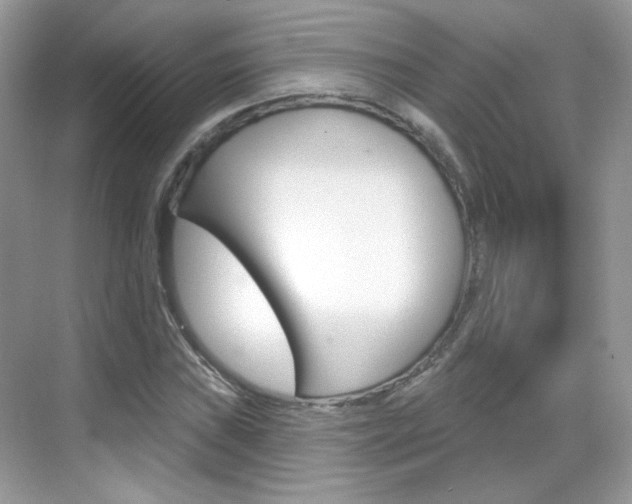 X0000069401019200605121017